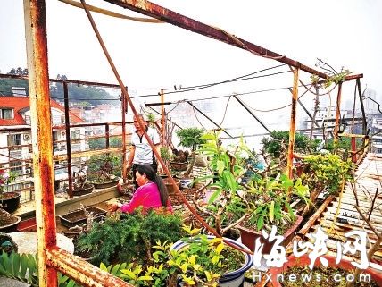 803业主在楼顶烧枯枝燃起浓烟