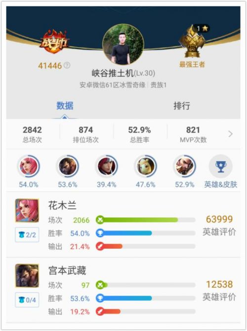 《王者荣耀》十大花木兰：寒光照铁衣的强势杀手