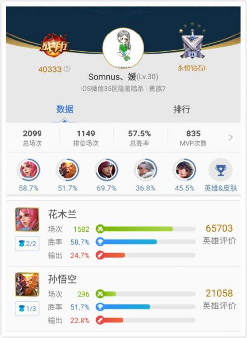 《王者荣耀》十大花木兰：寒光照铁衣的强势杀手