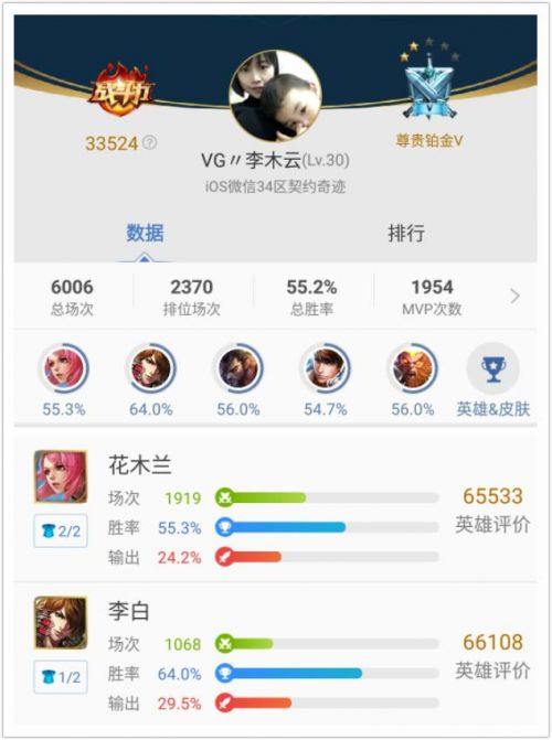 《王者荣耀》十大花木兰：寒光照铁衣的强势杀手