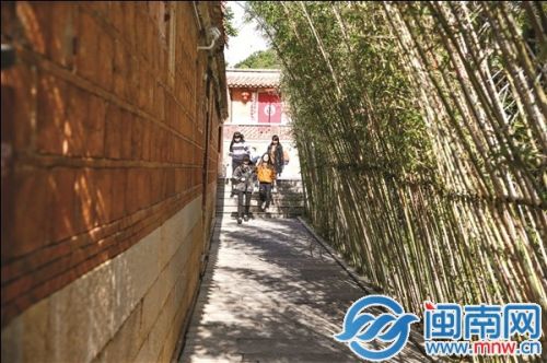竹林深处，曲径通幽