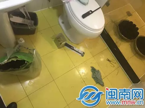 QQ截图20170410164907