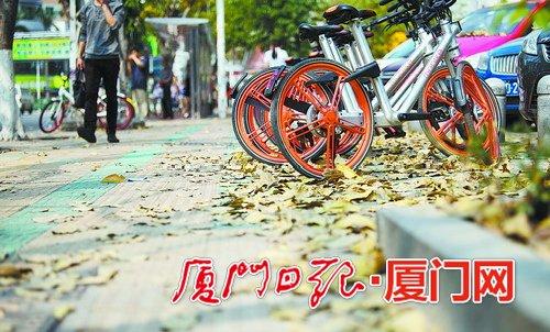 落叶散落在人行道上 本组图 本报记者 林铭鸿 摄