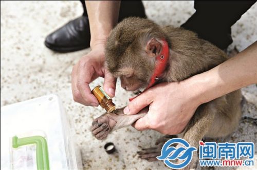 安静一会儿，先治治手伤吧