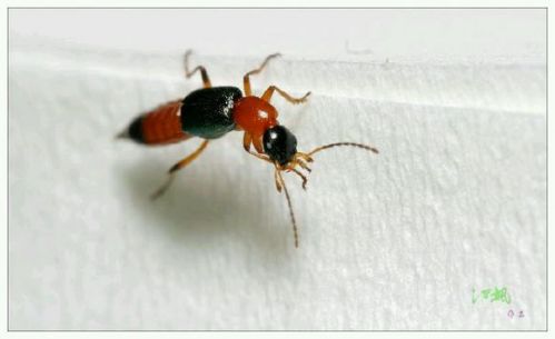 cc01dfd4b31c870182873d09267f9e2f0608ff9b