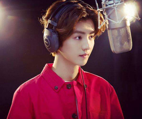 鹿晗不敢坐飞机因患严重恐高症 鹿晗为什么退