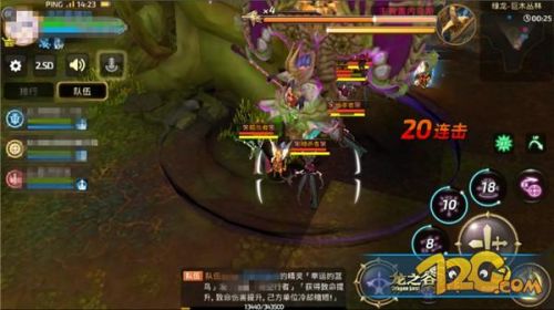 龙之谷手游绿龙巢穴职业搭配