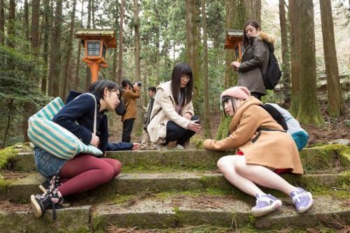 女大学生的村落噩梦!猎奇真人《尸囚狱》6月上映