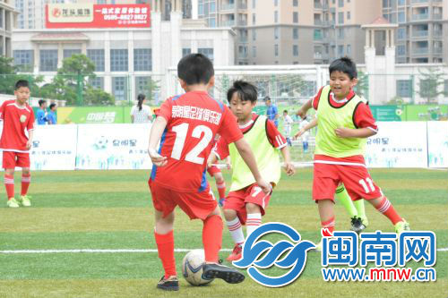 2017泉明星少儿足球公益赛开赛 近300名小将竞技绿茵场