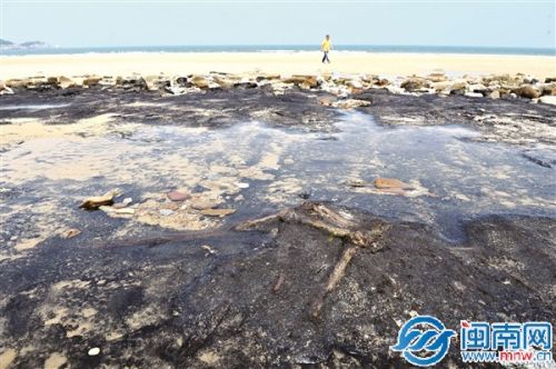 海水清澈，惠女湾海底古森林遗迹清晰可见，开始吸引游客