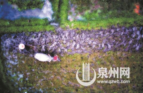 【优秀奖】《耕耘》 黄谷莹 