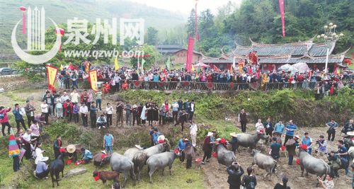 【优秀奖】《耕牛过节》 张九强 