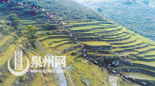 【优秀奖】《游春》 陈国平 