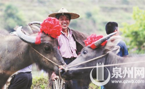 【三等奖】《牛欢人乐》张九强 