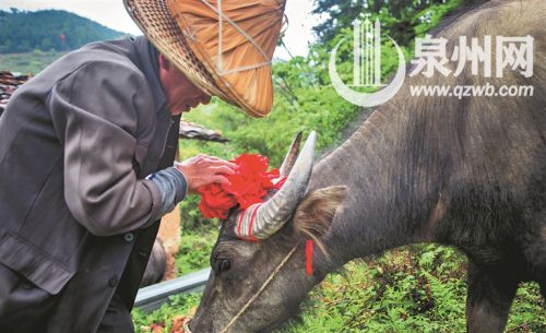 【三等奖】《好伙伴》黄谷莹 