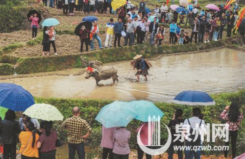 【二等奖】 《春耕第一犁》 林坚 【二等奖】 《春耕第一犁》 林坚