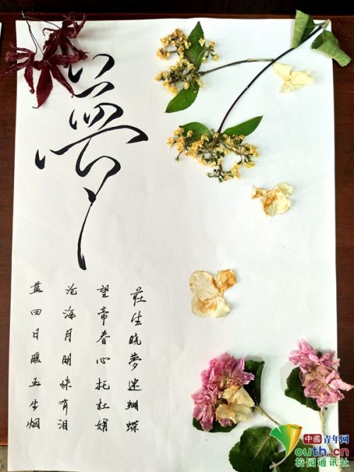 用落叶树枝制作贴画 不同树叶花瓣不同含义
