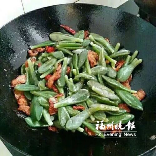 网友在网上晒出的多肉炒肉片
