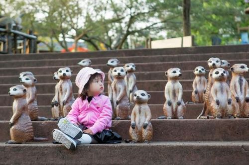 包文婧被伊能静催二胎 曝被饺子排第一-闽南网