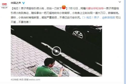 残忍！男子用食物引诱小狗，然后一刀砍下