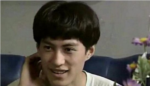 靳东为什么现在才火：都是发型的锅