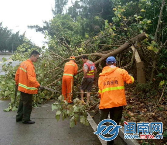 清除永宁镇西芩村路口倒伏树木.jpg