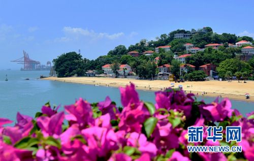 这是三角梅掩映下的鼓浪屿海边沙滩（8月5日摄）。三角梅是厦门的市花。新华社记者 魏培全 摄