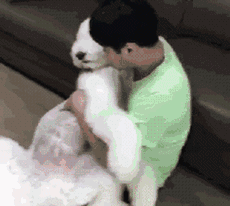 狗狗生气瞬间gif动图