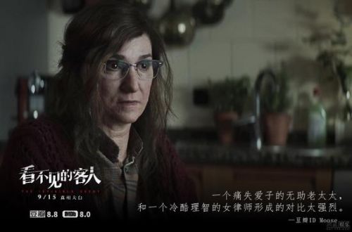 《看不见的客人》歌曲高分v客人结局意料之外电影插曲之夏意思电影泡沫图片