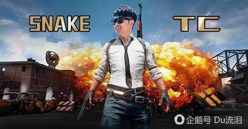 陈赫天才 吃鸡 战队Snake3保1不开一枪夺第二