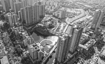 南安市区罗马家园水塘变都市养鸭场(图)