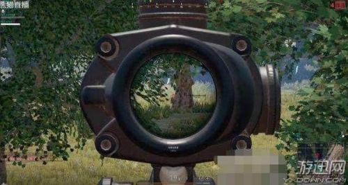 王思聪与IG队员组团《绝地求生》:全程酱油,装