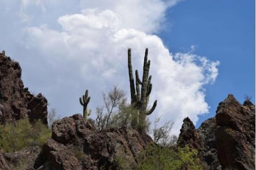 尼康D5300性能及拍摄效果评测:入门单反相机