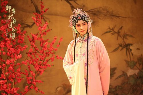那年花开月正圆沈星移结局真的死了？最新剧情分析沈星移没死