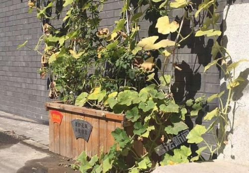 最新新闻事件_2017年国内重大社会热点新闻事