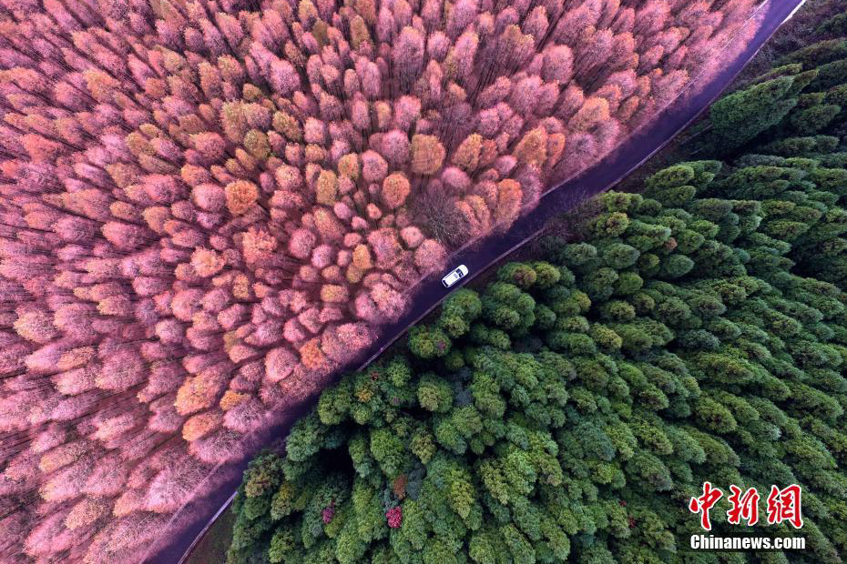 迎接中共十九大图片专题——绿色生态篇#13;2017年中国环境日的主题是：“绿水青山就是金山银山”，旨在动员引导社会各界保护自然环境，践行循环发展，共同建设美丽中国。