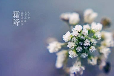 霜降是几月几日?2017霜降后天气会冷吗?