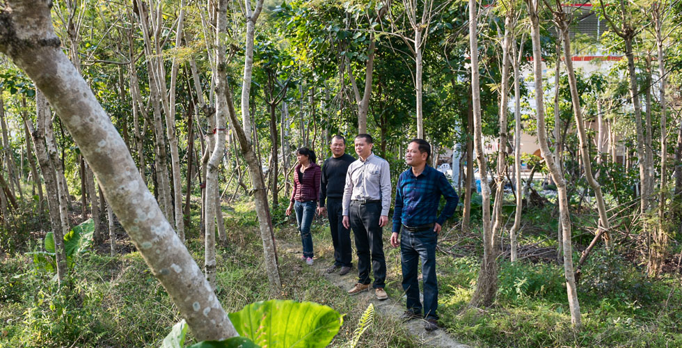农行长泰县支行客户经理到株贵花卉专业合作社苗木种植基地了解经营情况