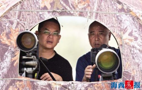 近期大批候鸟抵厦 看看“鸟人”是怎么拍鸟的？