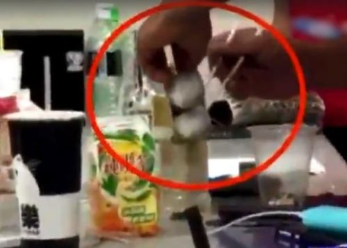 业绩未达罚吃蟑螂 窗帘公司被离职女员工控诉虐待