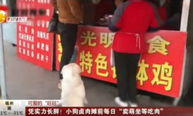 �Ĵ�����С�ֹ�±��̯ǰ�������ȳ�����Ƶ�ۿ�