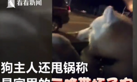 ��ĦҮ�˵�����ҳ��߼��ʵ��¼�� ����˦������������