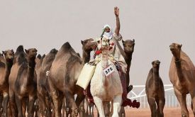  ����ѡ����3.6�� ɳ�ذ���������ѡ����ôѡ������ЩҪ��