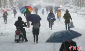 �����Ͼ�����Ԥ�� �Ͼ�������ʮ�������ѩ  �Ͼ�����