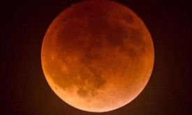 1��31����ȫʳʲôʱ����Կ�������Щ�ط����ñȽ����