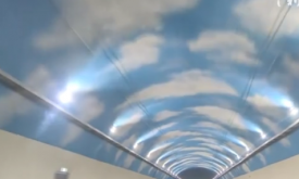 ���조����ֵ�������������������ڿɼ���������ơ�ʵ��