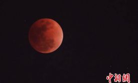 150����һ�� 1��31������������Ѫ�¡���ȫʳ�����仯��Ƶ�ؿ�