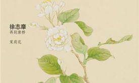 ���Ŵ�ѧ����ѧԺ�ϳ����ݳ�������Ŀ���ٱ��š������򻨡�