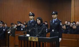 ��ķ�ݻ��������������ֳ���Ƶ ���ݱ�ķ�ݻ𰸻ع�