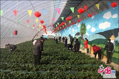 国庆各省旅游收入排行_2018年大连旅游收入